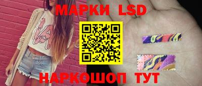 гидра Новозыбков