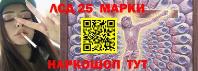гидра Новозыбков