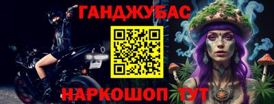 гидра Новозыбков