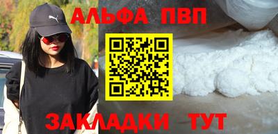 гидра Новозыбков