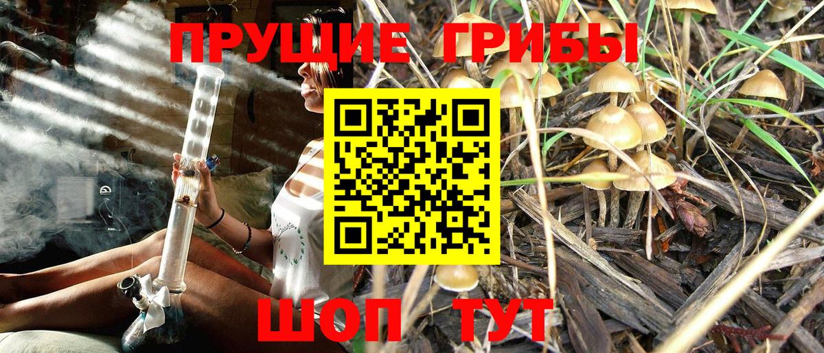 Тула  Галлюциногенные грибы Magic Shrooms  Вход с VPN  Галлюциногенные грибы ЛСД 